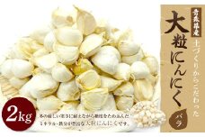【青森県産にんにく】【大粒】バラ 2kg