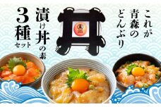 漬け丼の素 3パックセット