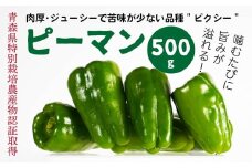 【青森県特別栽培】ピーマン 500g ピクシー 【8月上旬～10月前半発送】