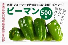 【青森県特別栽培】ピーマン 500g ピクシー 【8月上旬～10月前半発送】