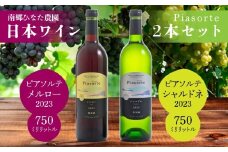 南郷ひなた農園 日本ワイン 2本セット ピアソルテ シャルドネ2023 ピアソルテ メルロー2023 750ml × 各1本 青森県 八戸市