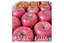 サンふじ　約10kg＜津軽みらい農業協同組合の青森県産りんご＞【1063271】