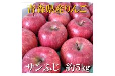 サンふじ　約5kg＜津軽みらい農業協同組合の青森県産りんご＞【1063270】