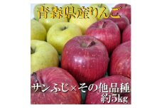 サンふじ×その他品種　約5kg＜津軽みらい農業協同組合の青森県産りんご＞【1063272】