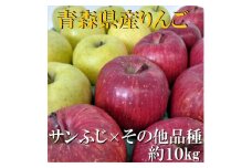 サンふじ×その他品種　約10kg＜津軽みらい農業協同組合の青森県産りんご＞【1063273】