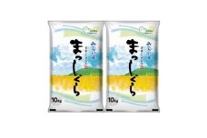 まっしぐら　精米10kg×2袋【1135485】