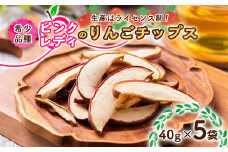美味しさギュッと凝縮 ピンクレディのりんごチップス(40g×5袋)【1230977】