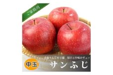 青森県黒石産サンふじ家庭用 約5kg【1247476】