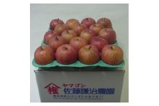 ＜青森県黒石市産＞サンふじ りんご5kg【1251378】