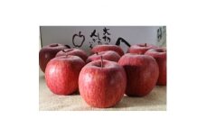 ＜りんごの代名詞＞サンふじ贈答用品3kg【1270006】
