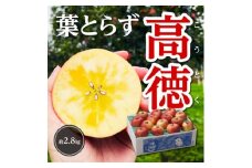 ＜令和7年11月上旬～発送＞今年もお届け。味にこだわる生産者から「葉とらずこうとく」2.8kg【1124030】
