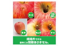 ＜2025年9月末～発送開始＞内容量　約10Kg　訳ありりんご　早生ふじ　24～46個入【1333053】