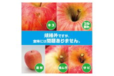 ＜R7年11月上旬～発送開始＞内容量　約10Kg　訳ありりんご　シナノスイート　24～46個入_りんご リンゴ 林檎 シナノスイート 訳あり 家庭用 青森県産 果物 フルーツ 美味しい 人気 送料無料【1333054】