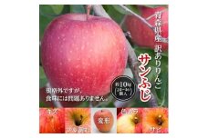 今年も約10kgお届けします!　訳ありりんご「サンふじ」24～46個入＜R7年12月中旬～発送開始＞【1333055】