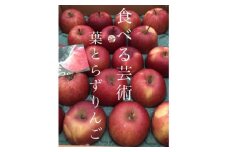 園主一押し!味をとことん突き詰めたりんご　葉とらずサンふじ　贈答用　約5kg　蜜入り期待大!【1342650】