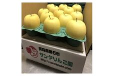 金星(きんせい)　家庭用　5kg【1376865】