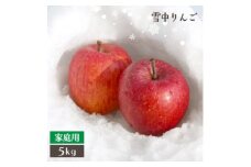 青森県黒石産雪中貯蔵サンふじ家庭用約5kg【1386959】