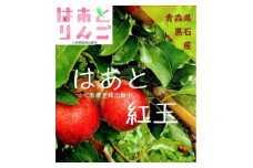 青森県産りんご　’はあと’紅玉　3K箱【1425256】