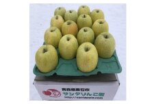 甘い青りんごの定番　青森県産　王林　贈答用　約5キロ　農家直送【1430915】