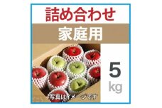 家庭用　りんご　ミックスおまかせ　約5kg【1440031】