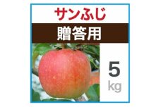 贈答用　サンふじ　約5kg【1440029】