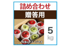 贈答用　りんご　ミックスおまかせ　約5kg【1440033】