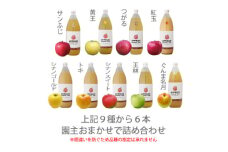 無添加 品種おまかせりんごジュース6本入(6種飲み比べ)【1440035】