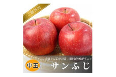 青森県黒石産サンふじ贈答用 約5kg【1267839】