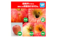 今年も約10kgをお届けします!　訳ありりんご「サンふじ」24～46個入＜R6年3月中旬～発送予定＞【1482264】