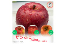 訳ありりんご＜サンふじ＞10kg(24～46個入)　＜令和7年11月下旬～随時発送開始＞【1486198】
