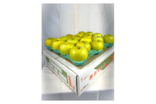 糖度保証!!　令和6年産　訳あり品　王林10kg(26個～46個)＜令和7年12月中旬より順次発送＞【1491943】