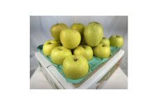 糖度保証!　訳あり品　王林　5kg(14個～23個)＜令和7年12月下旬より順次発送＞【1491942】