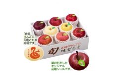 ＜令和7年産・先行予約＞青森県産 8種のりんご 味ぞろえ(干支りんご入り)鮮度保持剤・保存用ポリ袋付【1508213】