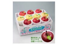 ＜令和7年産・先行予約＞糖度13度選果 シナノスイート&名月&サンふじ りんご3種 約2.5kg【1508221】