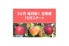 ＜発送月固定定期便＞先行予約〈2025年10月より順次発送〉甘味系・青森県産りんご約3kg 全3回【4051688】