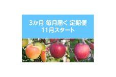 ＜発送月固定定期便＞先行予約〈2025年11月より順次発送〉甘味系・青森県産りんご約3kg 全3回【4051689】