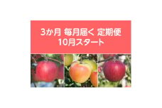 ＜発送月固定定期便＞〈2025年10月より順次発送〉甘味系・青森県産りんご約5kg 全3回【4051694】