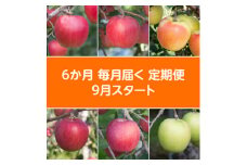 ＜発送月固定定期便＞〈2024年9月より順次発送〉甘味系・青森県産りんご約3kg 全6回【4051699】