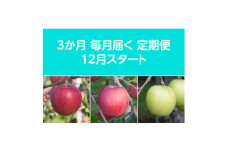 ＜発送月固定定期便＞〈2025年12月より順次発送〉甘味系・青森県産りんご約5kg 全3回【4051696】