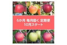 ＜発送月固定定期便＞〈2024年10月より順次発送〉甘味系・青森県産りんご約3kg 全6回【4051700】