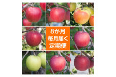 ＜発送月固定定期便＞〈2024年9月より順次発送〉甘味系・青森県産りんご約3kg全8回【4051702】