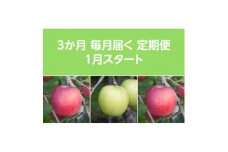＜発送月固定定期便＞〈2025年1月より順次発送〉甘味系・青森りんご約3kg 全3回【4051691】