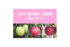 ＜発送月固定定期便＞〈2025年2月より順次発送〉甘味系・青森りんご約3kg 全3回【4051692】