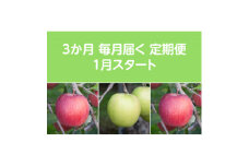 ＜発送月固定定期便＞〈2026年1月より順次発送〉甘味系・青森りんご約5kg 全3回【4051697】