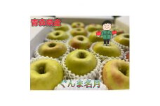 サンふじ&名月 ギフトセット 化粧箱入 約5kg(14～20個)【1513852】