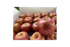 ＜令和8年4月下旬～発送予定＞訳あり品　シャキッと甘い＜シナノスイート＞5kg(13～20個)【1513888】