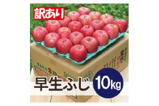 ＜黒石市産＞糖度12度以上保証!早生ふじ訳あり家庭用約10kg【1519966】