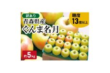 ＜黒石市産＞糖度13度以上保証!ぐんま名月訳アリ家庭用約5kgりんご ※離島・沖縄は配送不可【1521275】