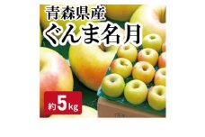 ＜黒石市産＞糖度13度以上保証!ぐんま名月おもてなし用約5kgりんご ※離島・沖縄は配送不可【1521278】