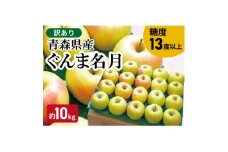 ＜黒石市産＞糖度13度以上保証!ぐんま名月訳アリ家庭用約10kgりんご ※離島・沖縄は配送不可【1521281】
